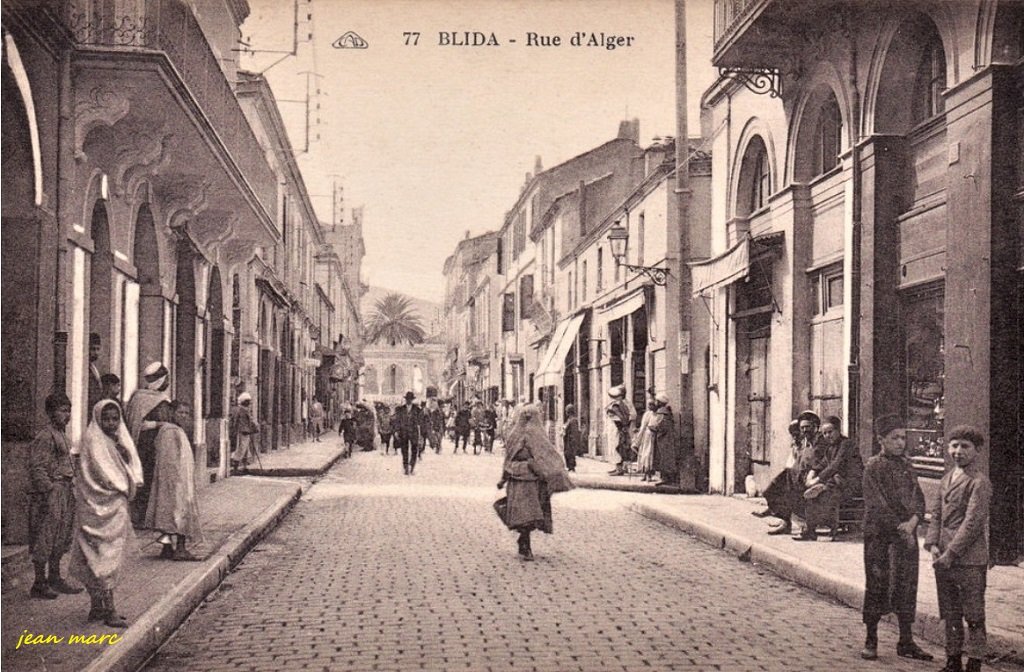 Blida - Rue d'Alger 77.jpg