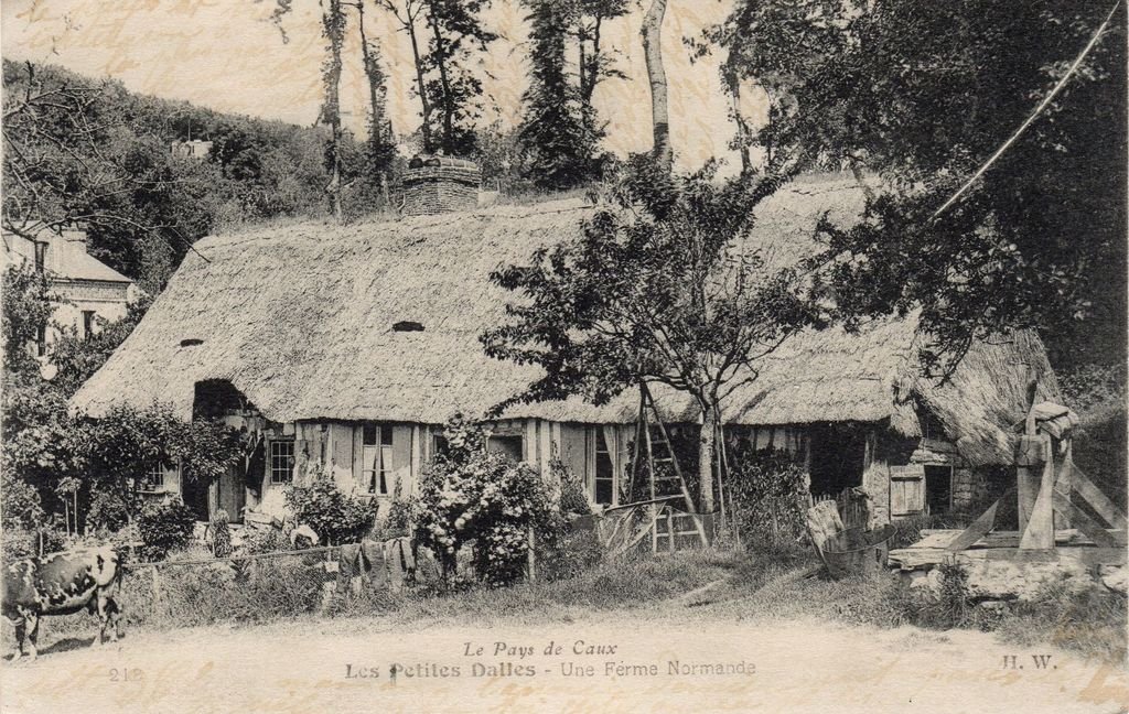 76 - LES PETITES DALLES - 218 - Pays de Caux - Une Ferme Normande - H.W. - 09-08-23.jpg