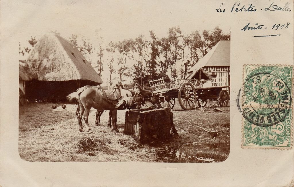 76 - LES PETITES DALLES - Une ferme des Petites Dalles - 21-08-23.jpg