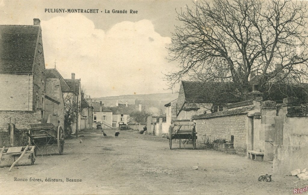 21-Puligny-Montrachet - La Grde Rue - Ronco fr édit.jpg