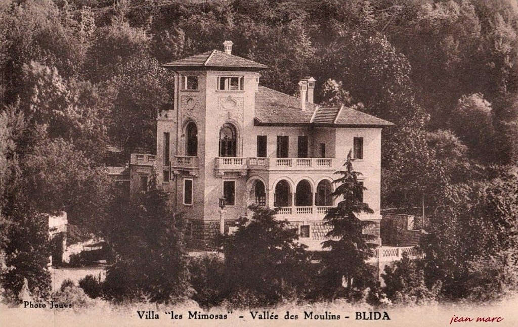 Blida - Villa Les Mimosas.jpg