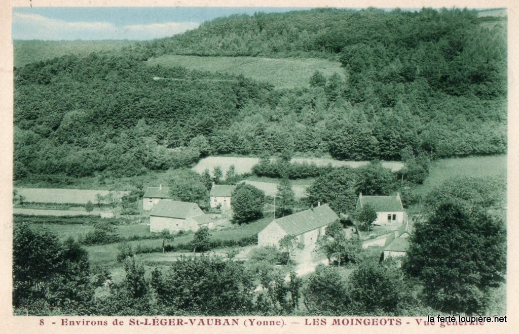 img025.jpg