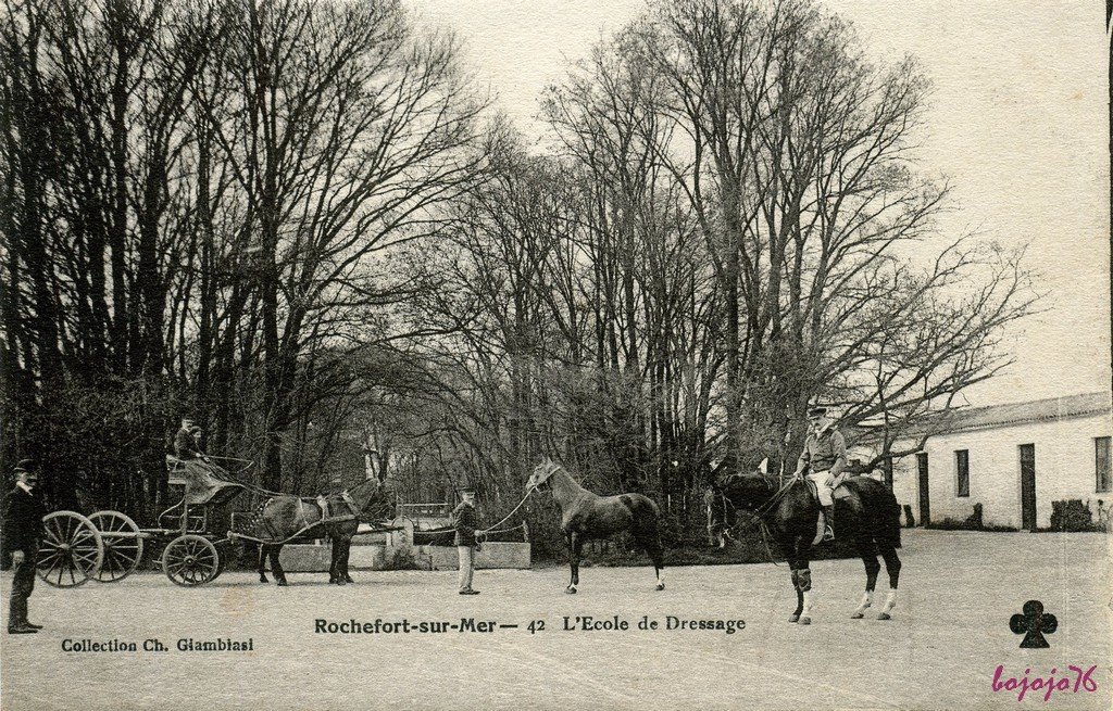 17-Rochefort-Ecole de dressage.jpg