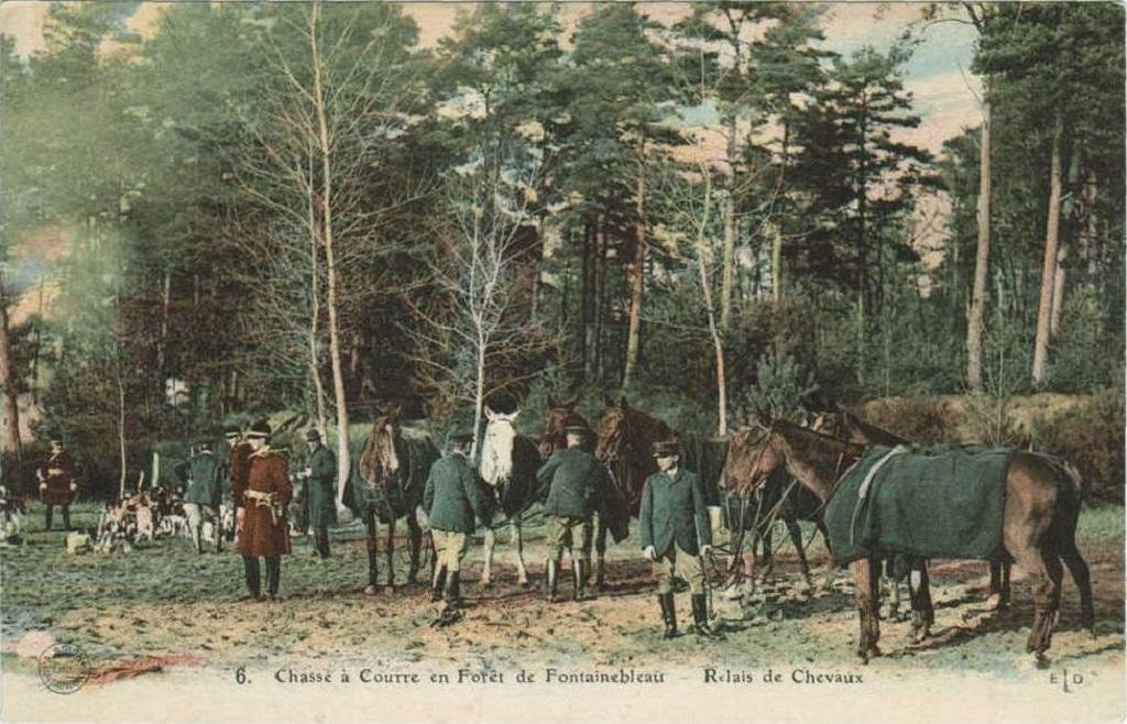 Foret-Fontainebleau-relais-de-chevaux.jpg
