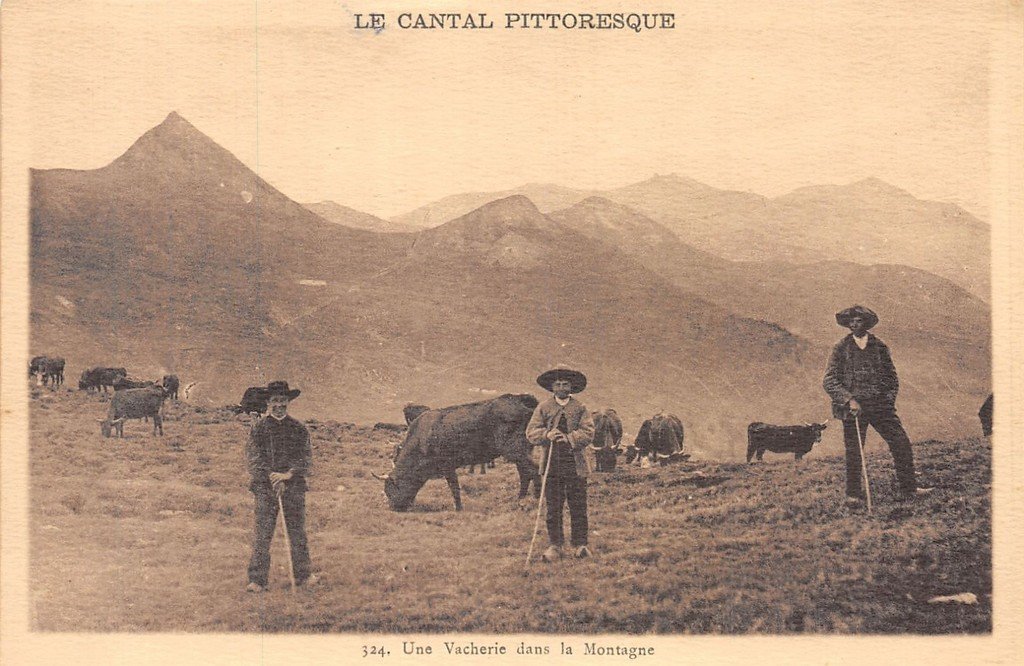 Bovins-Cantal.jpg