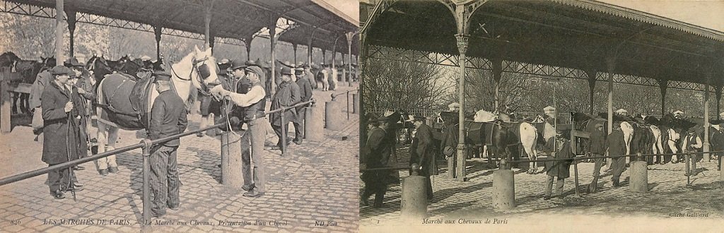 0 Marché aux Chevaux.jpg