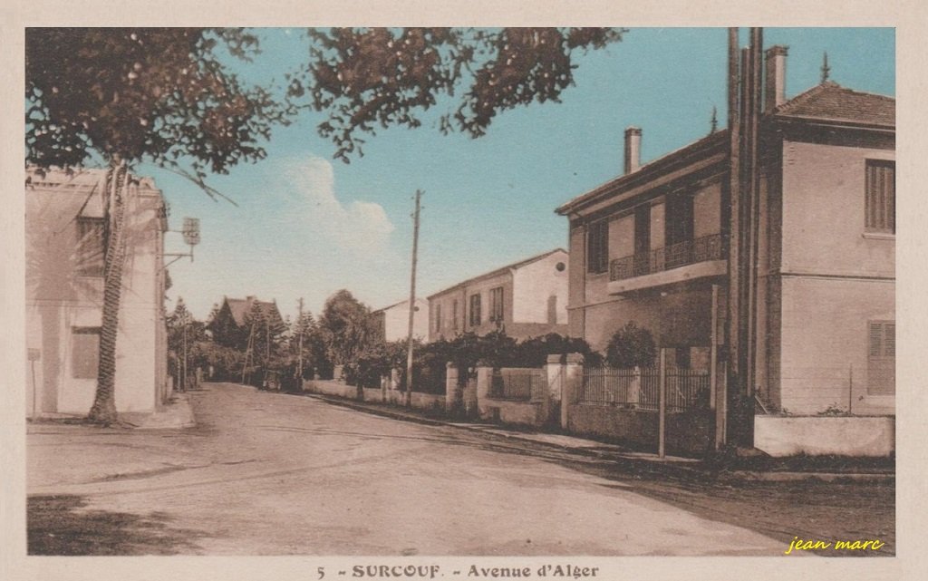 Surcouf - Avenue d'Alger 5 (Phototypie Etabl. Photo Albert, Alger).jpg