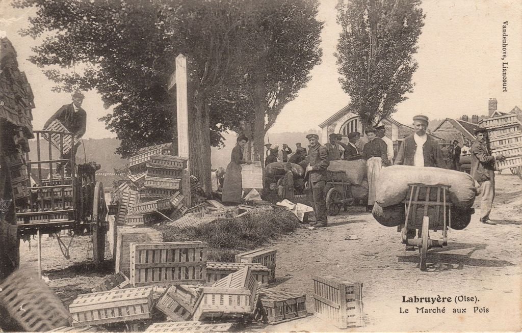 60 - LABRUYERE - La Marché aux Pois  - Vandenhove Liancourt - 11-11-23.jpg