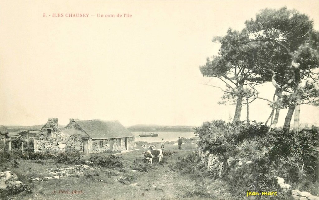 Iles Chausey - Un Coin de l'île.jpg