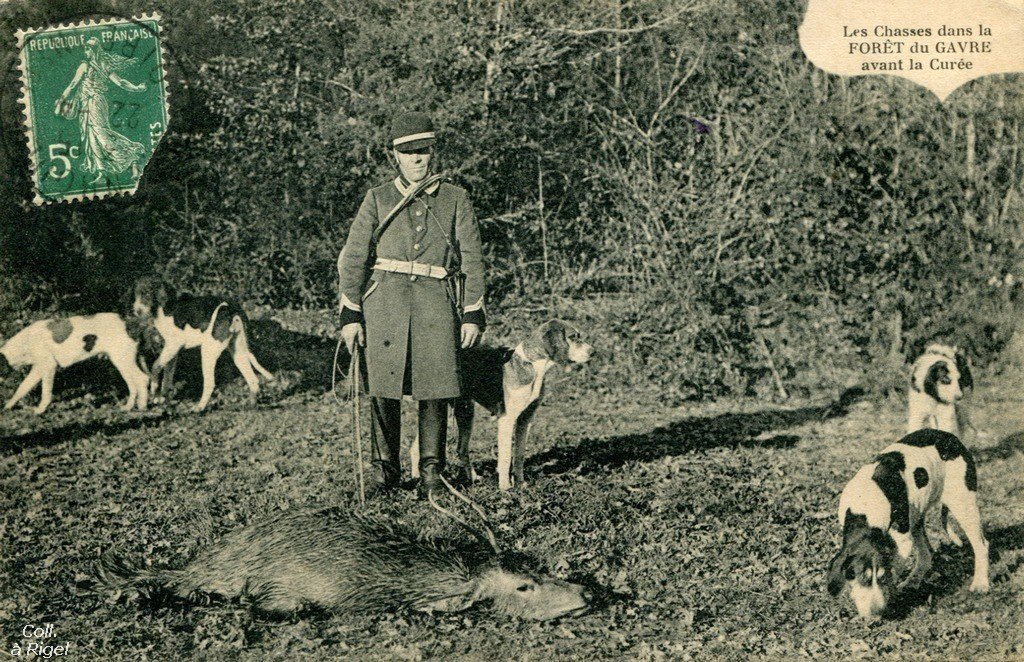 Chasse-Foret-du-Gavre- Rigel  28-09-18.jpg