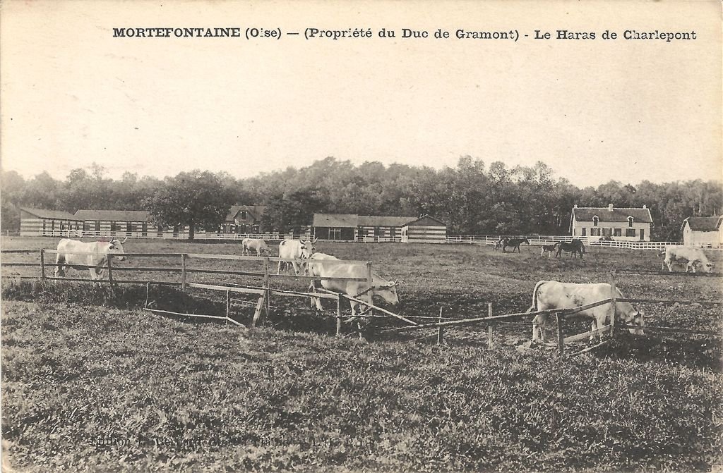 60 - MORTEFONTAINE - Le Haras de Charlepont - Coll. B. Guibert - Edition L. Bernard - 14-06-15.jpg