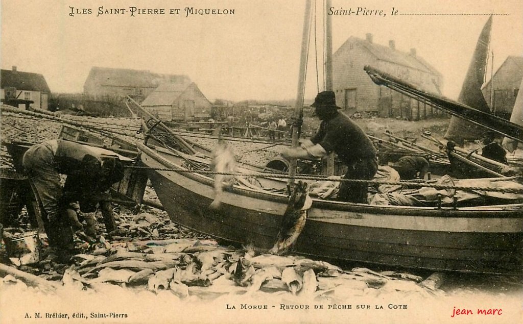 Saint-Pierre-et-Miquelon - La Morue - Retour de pêche sur la Côte.jpg