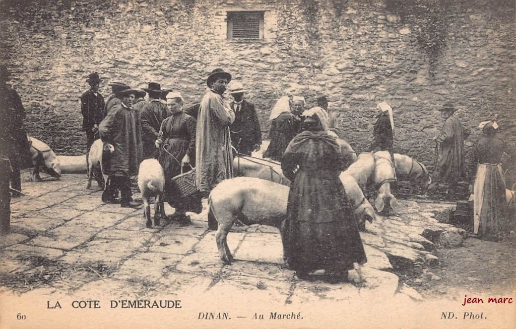 Cochons - Dinan - Au Marché - JM 5-01-2024.jpg