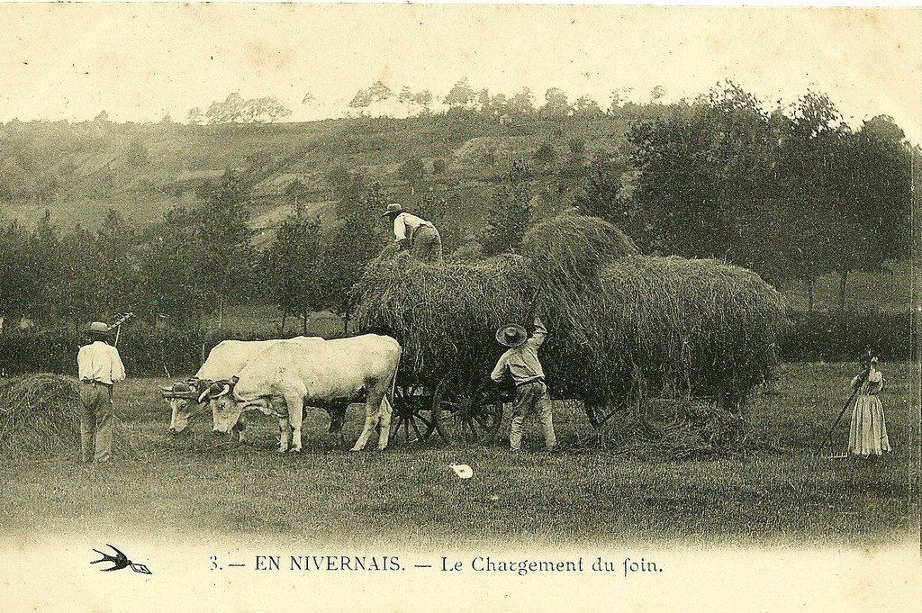 Nivernais 3 L'Hirondelle.jpg