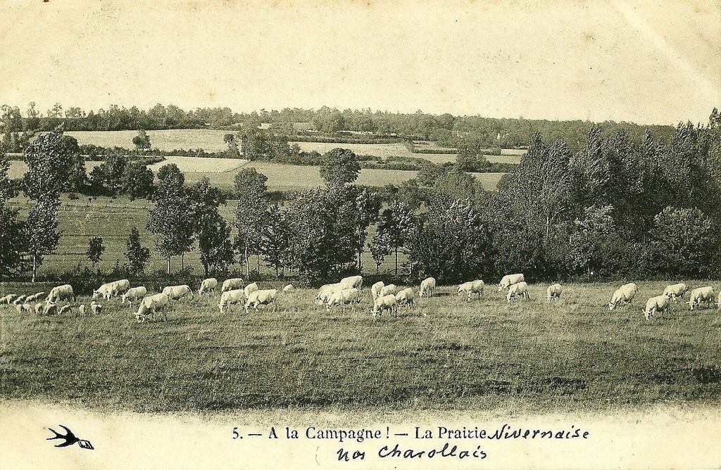 En Nivernais 5 (thématique Folklore des régions).jpg