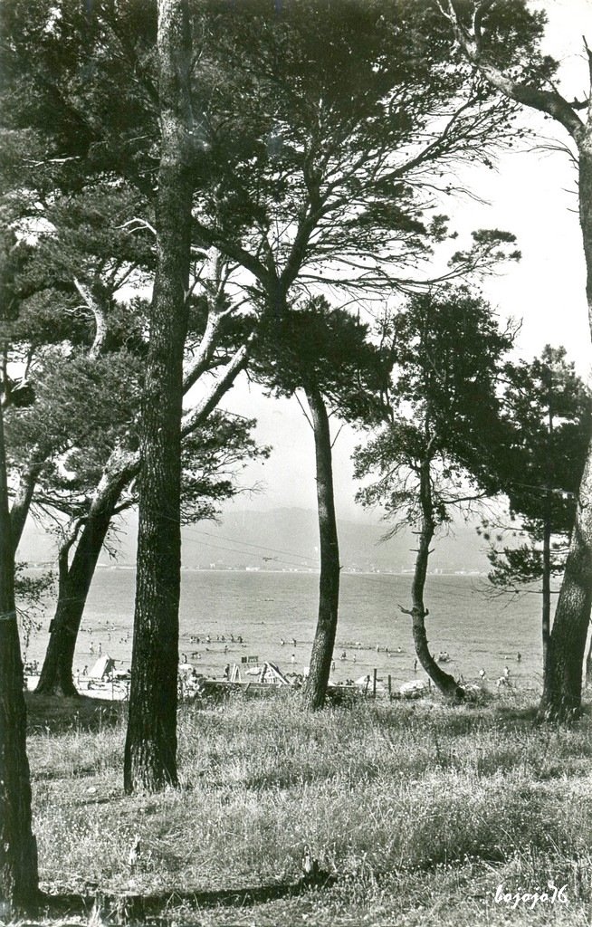 83-Saint Aygulf-Pinede et plage.jpg