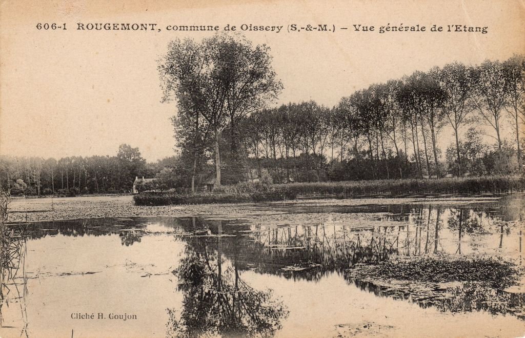 77 - OISSERY - 606-1 - Vue générale de l'Etang de Rougemont - Phototypie Desaix - 19-05-23.jpg