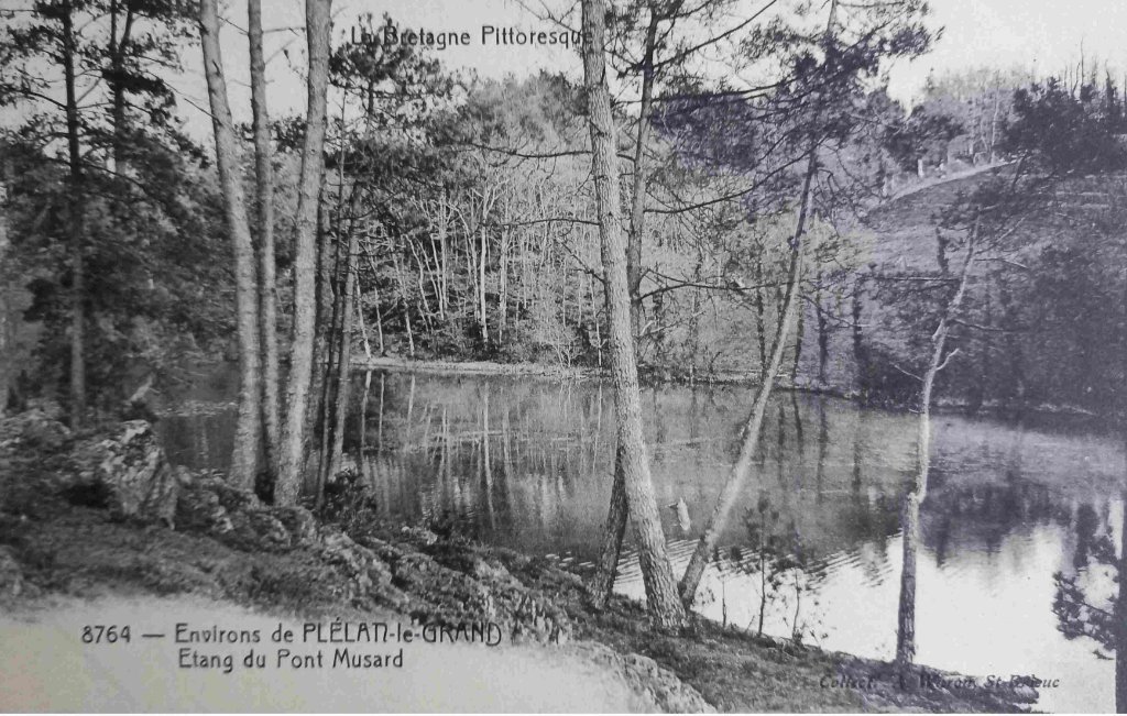 8764 - Plélan le Grand - étang du pont musard (10263).jpg