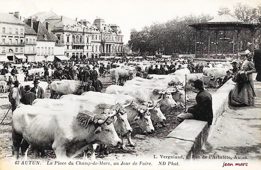 Bovins - Autun - La Place du Champ-de-Mars, un jour de foire.jpg