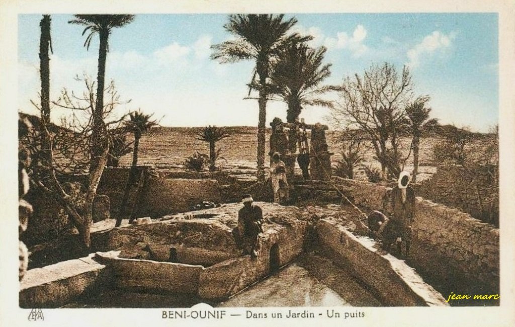 Béni-Ounif - Dans un jardin - Un Puits (EPA Editions Photo-africaines, Alger).jpg