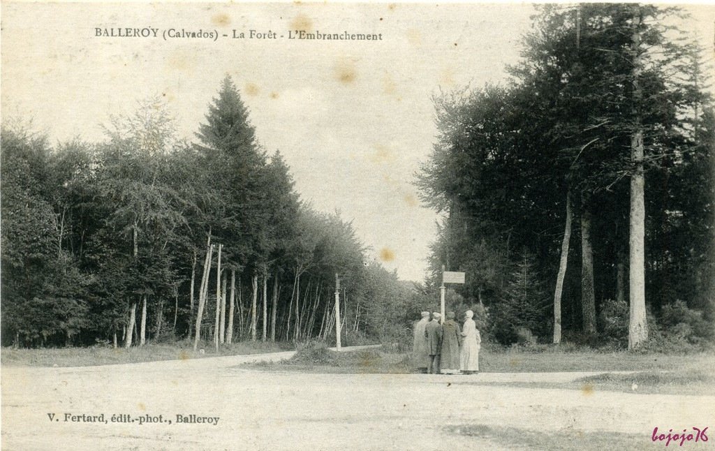 14-Balleroy-Foret.jpg