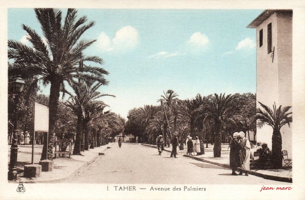 Taher - Avenue des Palmiers (EPA Editions Photo-africaines, Alger).jpg
