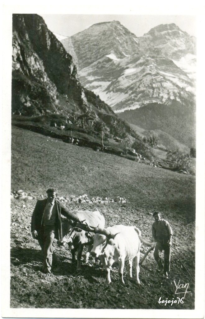 Pyrénées-Labourages en montagne.jpg