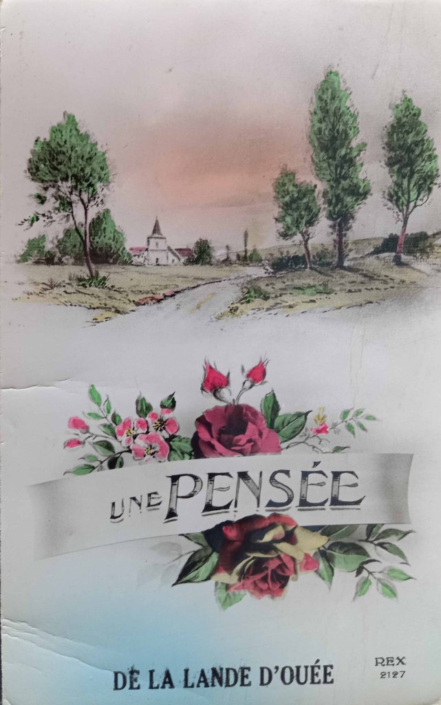 Saint Aubin du Cormier - une pensée de la Lande d'Ouée.jpg
