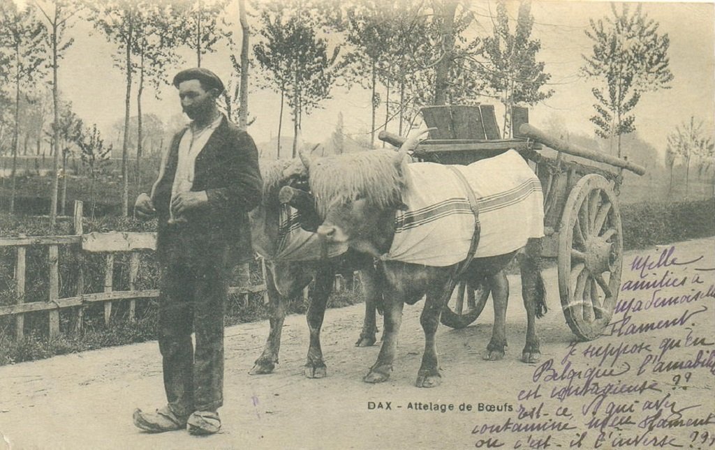 1366578815-carte-postale-Dax.jpg