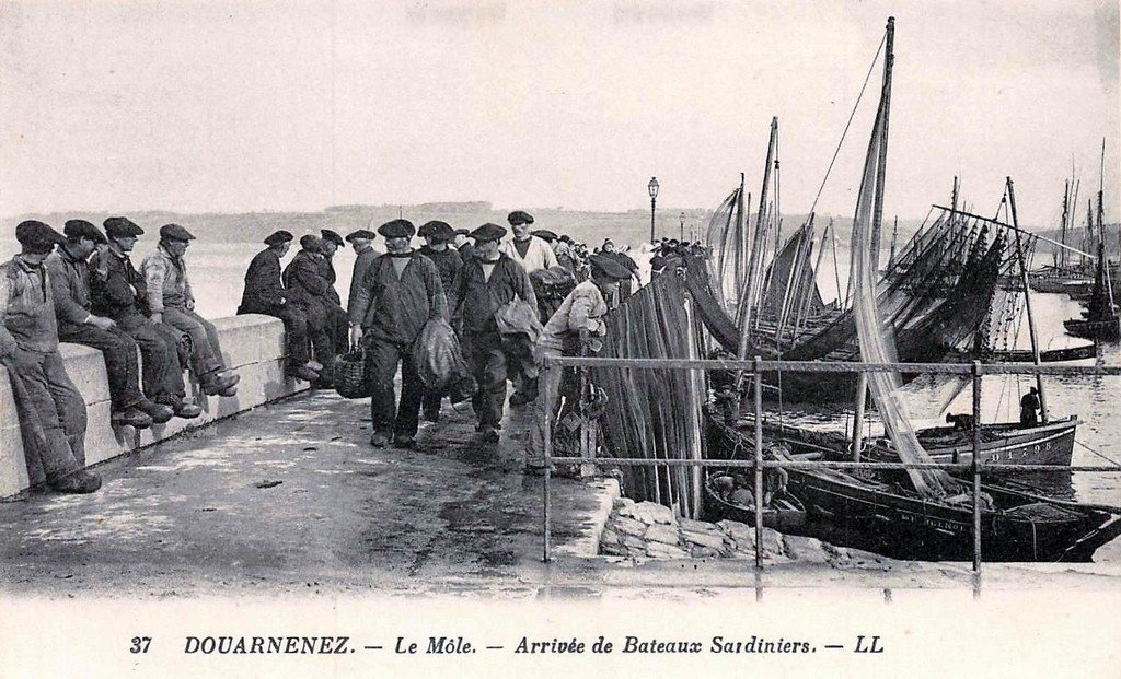 Douarnenez 37 LL.jpg