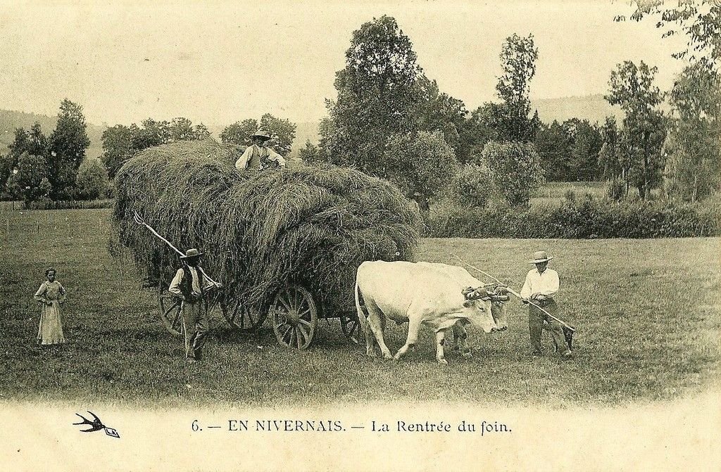 En Nivernais 6.jpg