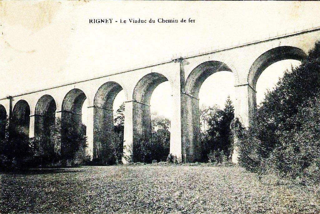 Rigney 3 P.jpg