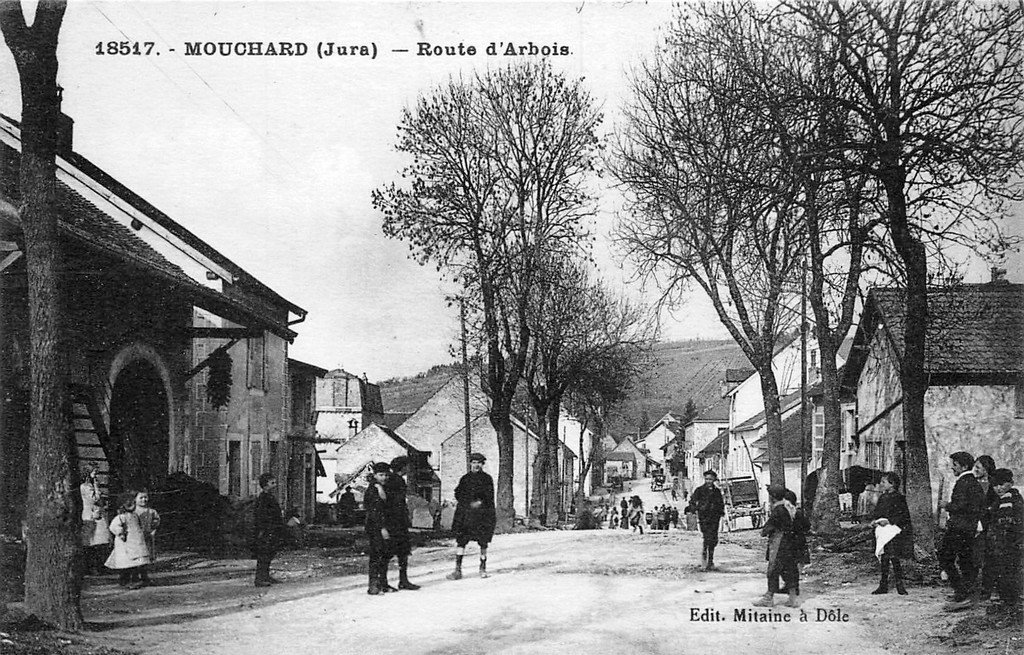 Mouchard 18517 Mitaine.jpg