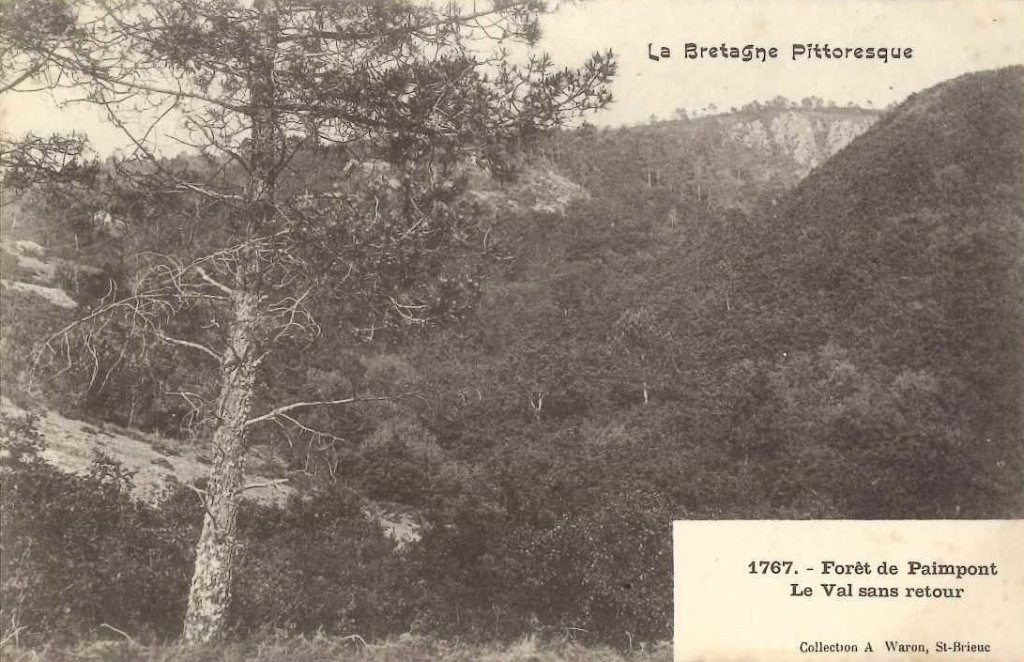 1767 - Paimpont - Forêt de Paimpont. Le val sans retour -waron.jpg