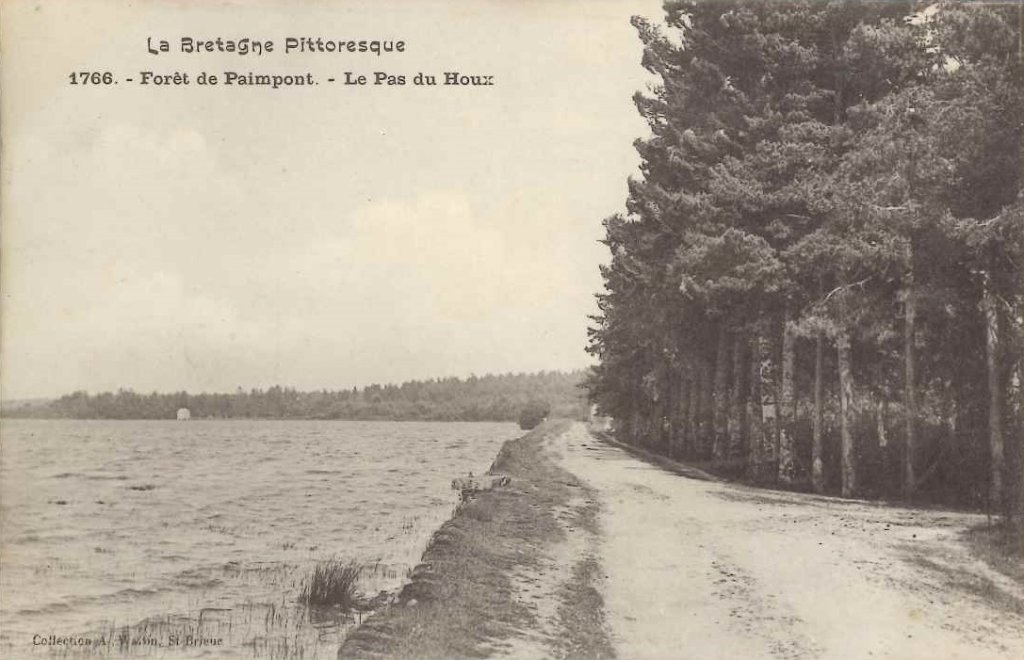 1766 - Paimpont - Forêt de Paimpont - Le pas du Houx -waron.jpg