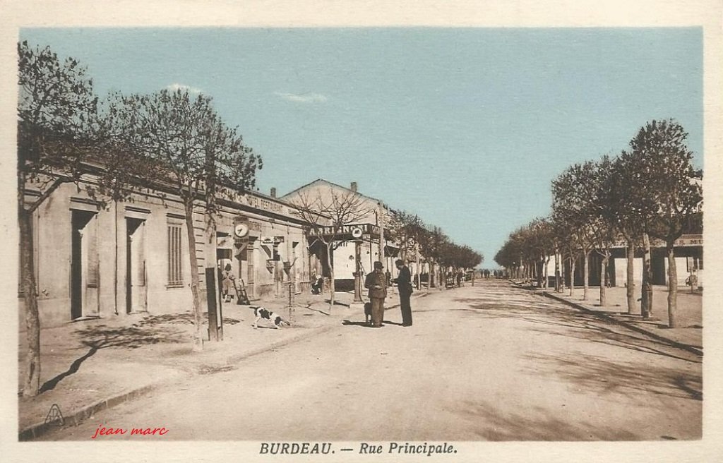 Burdeau (Mahdia) - Rue Principale (Éditions Photo-Africaines, 1 rue Feuillet, Alger).jpg