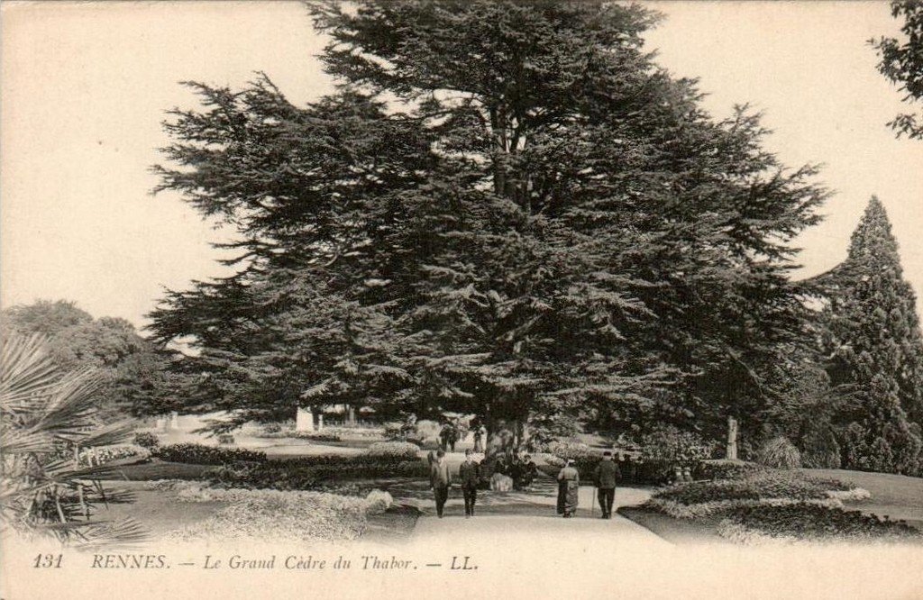 Rennes 131 LL.jpg