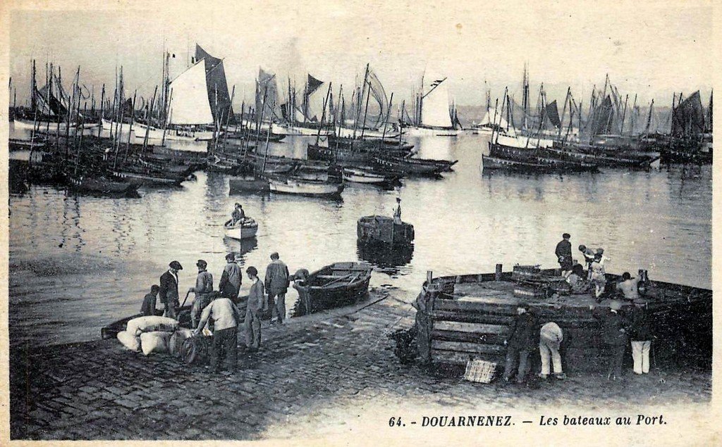 Douarnenez 64.jpg