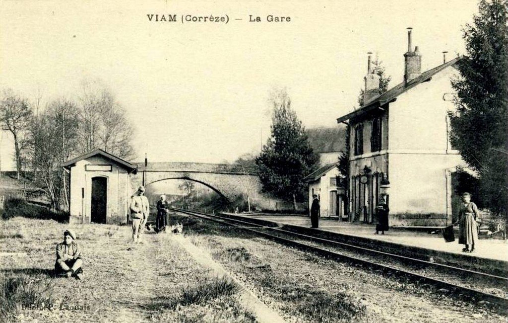 Viam P.jpg