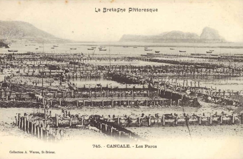 745 - Cancale - les parcs - aw.jpg