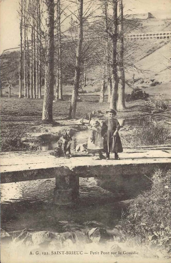 122 - Saint Brieuc - Petit pont sur le Gouëdic -ag.jpg