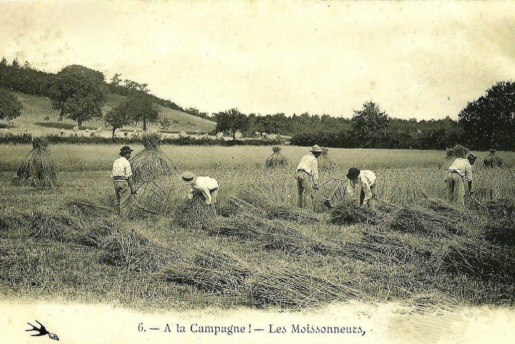 Nivernais 6 (2).jpg