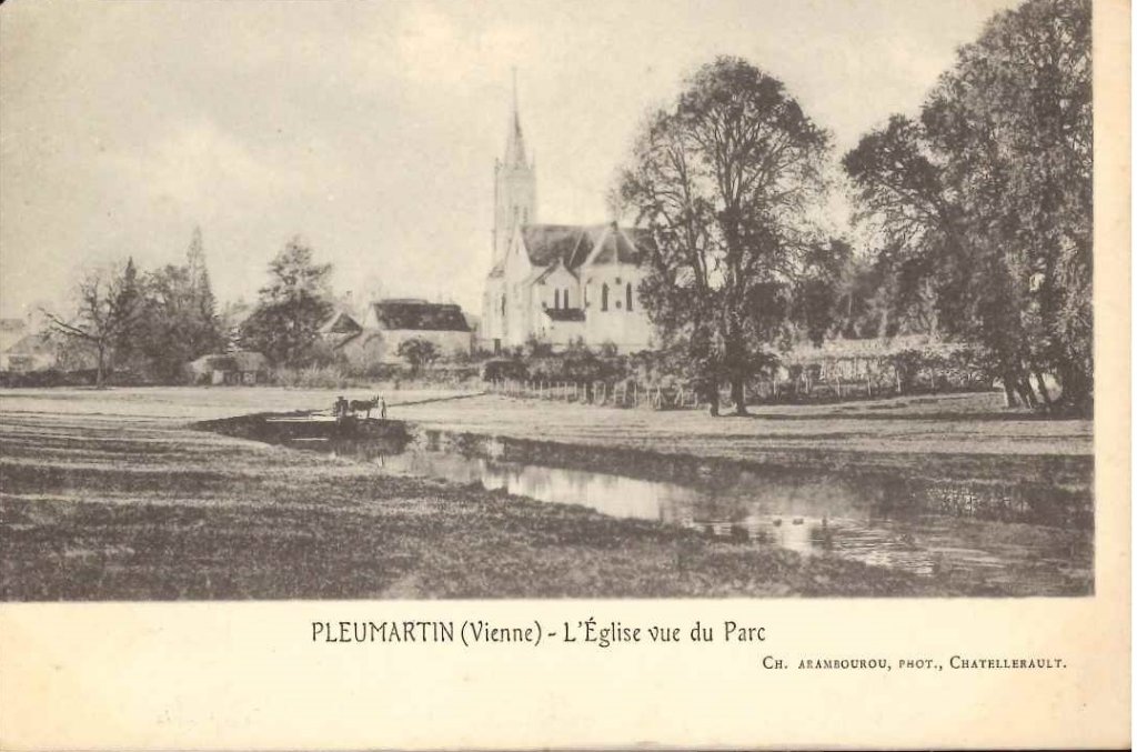Pleumartin - l'église vue du parc -arambourou.jpg