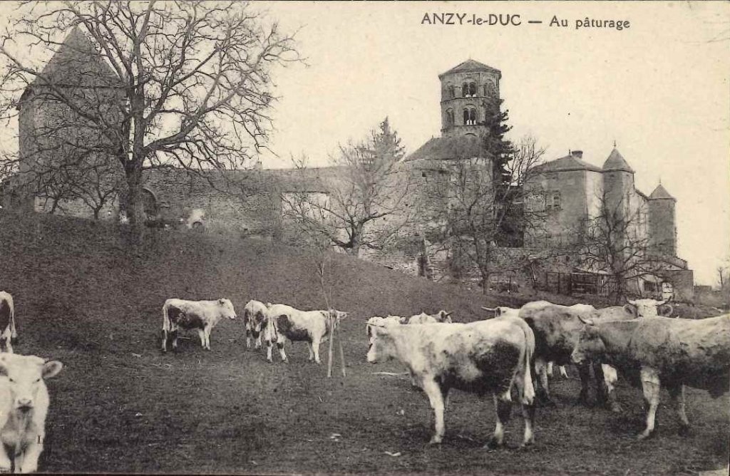 Anzy le Duc - Au pâturage.jpg