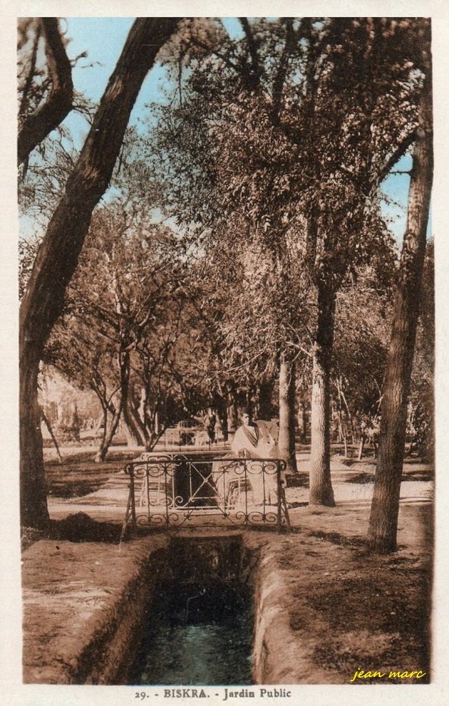 Biskra - Jardin Public 29 (Edition Photo Albert, Alger).jpg