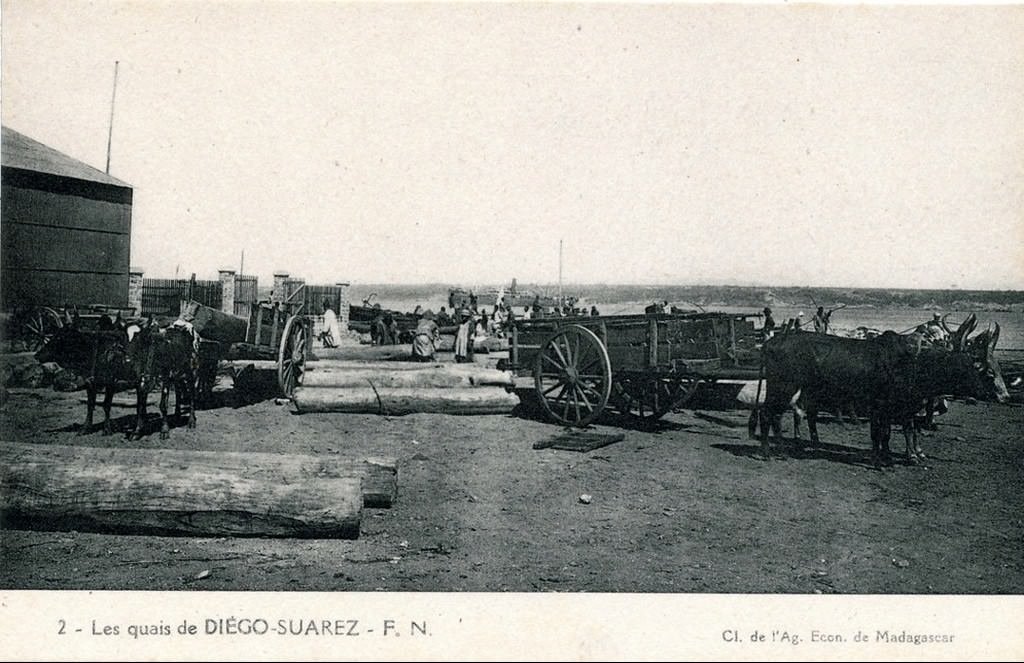 Attelages Diego-Suarez-Parodirn 12-10-16.jpg