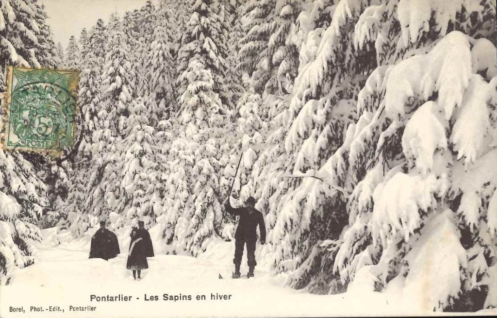 Pontarlier - Les sapins en hiver.jpg