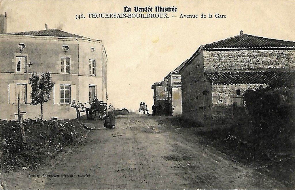 Thouarsais Bouildroux.jpg