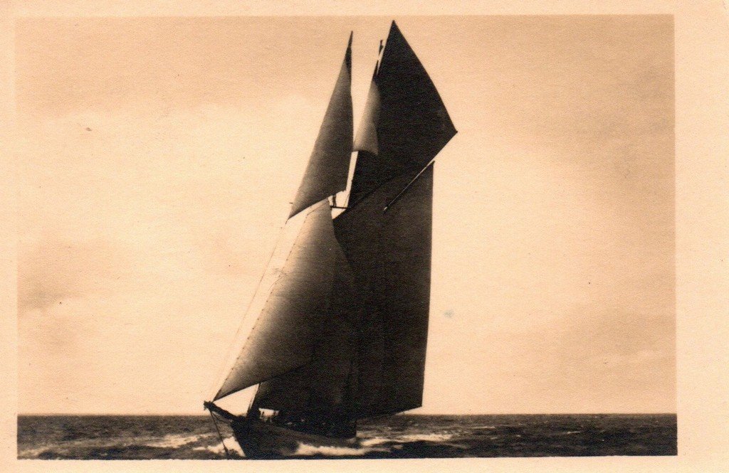 Voilier 1205.jpg
