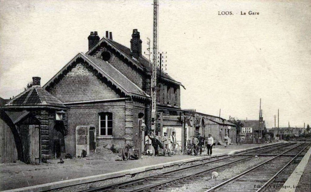 Loos (3) P.jpg